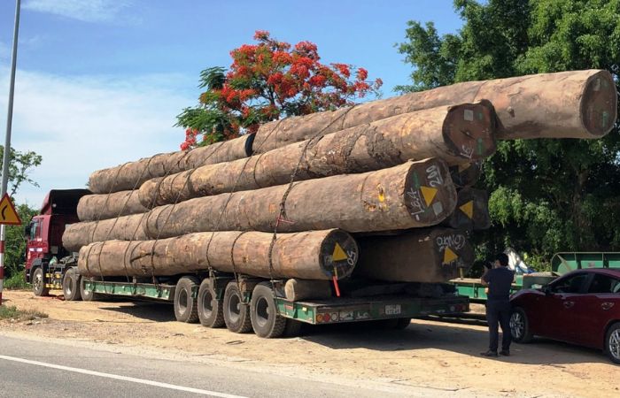 Quy trình thủ tục xuất khẩu sản phẩm gỗ chi tiết